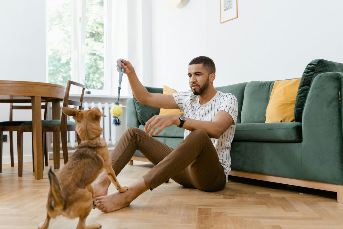 Dosierung Lachsöl Hund – Alles, was Sie über die richtige Menge wissen müssen