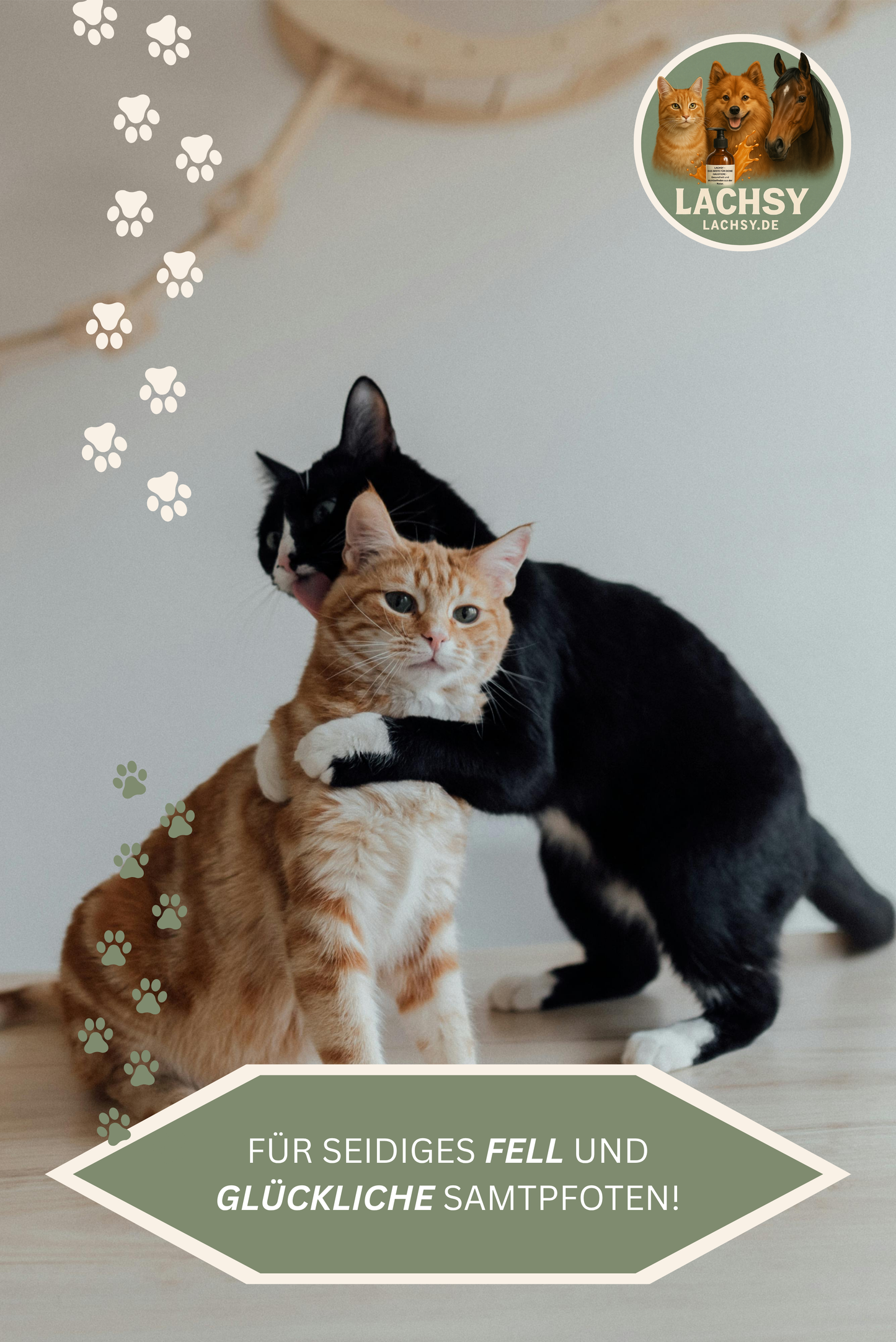 Lachsöl für Hunde, Katzen & Pferde – Natürliche Omega-3-Power für glänzendes Fell, gesunde Haut und Vitalität